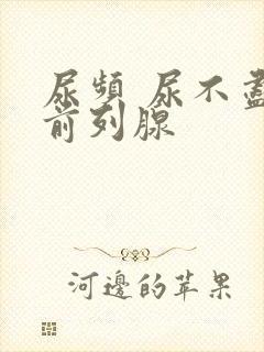 尿频 尿不尽 前列腺