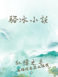 骆冰小说