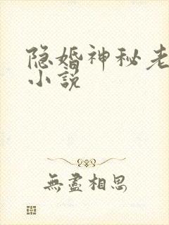 隐婚神秘老公 小说