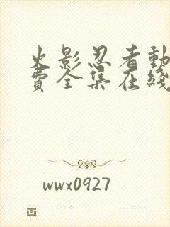 火影忍者动漫免费全集在线观看免费