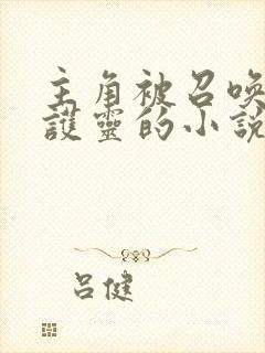 主角被召唤成守护灵的小说