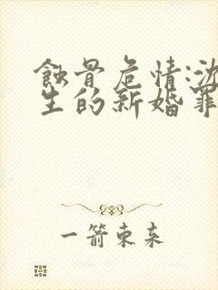 蚀骨危情:沈先生的新婚罪妻 萧染