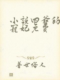 小说四爷的心尖宠妃免费