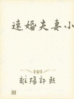 速婚夫妻小说