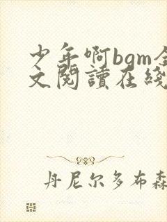 少年啊bgm全文阅读在线