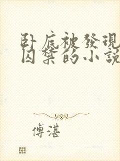 卧底被发现后 囚禁的小说双男主推荐完结