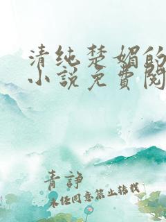 清纯楚媚的快穿小说免费阅读