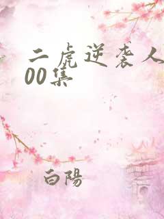 二虎逆袭人生100集