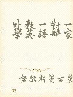 外教一对一在线学英语哪家好