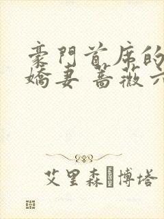 豪门首席的3嫁娇妻 蔷薇六少爷