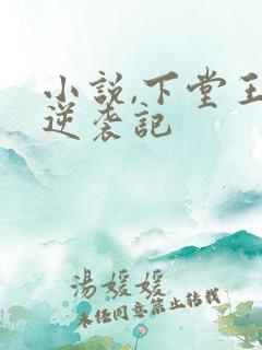 小说,下堂王妃逆袭记