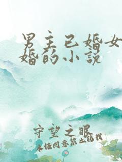 男主已婚女主未婚的小说