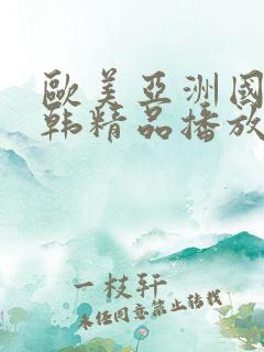 欧美亚洲国产日韩精品播放