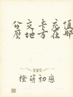 公交卡充值在什么地方在哪里