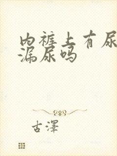 内裤上有尿味是漏尿吗