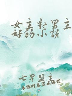 女主对男主特别好的小说