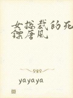 女总裁的死神保镖唐风