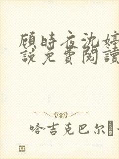 顾时夜沈婷婉小说免费阅读最新章节