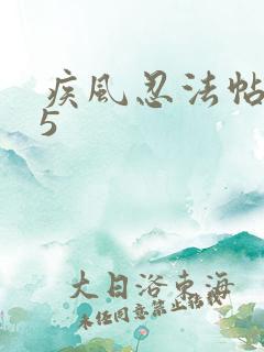 疾风忍法帖4.5