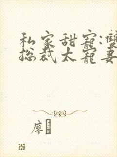 私家甜宠:双面总裁太宠妻