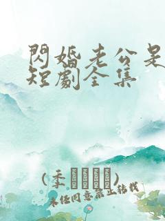 闪婚老公是豪门短剧全集