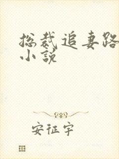 总裁追妻路漫漫小说