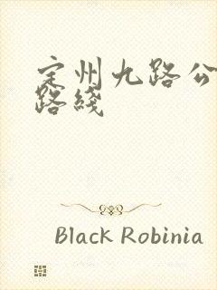 定州九路公交车路线