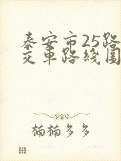 泰安市25路公交车路线图