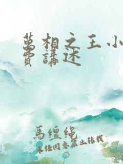 万相之王小说免费讲述