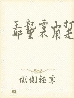 玉龙雪山打车到哪里不用走太远