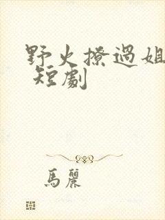 野火撩过姐姐心 短剧