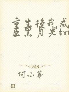 重生后我成了奸臣黑月光txt
