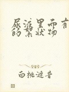 尿液里面有白色的絮状物