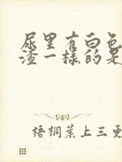 尿里有白色豆腐渣一样的是什么