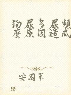 狗尿多尿频是什么原因造成的