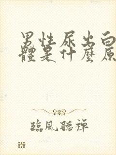 男性尿出白色液体是什么原因