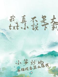 我真不是大魔王txt小说下载