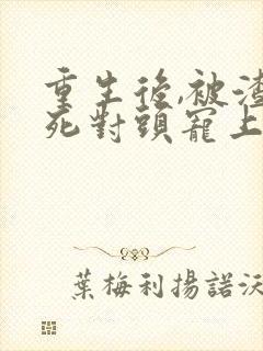 重生后,被渣男死对头宠上天短剧