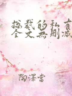 总裁的私有宝贝全文无删减免费阅读