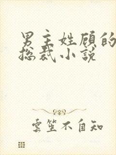 男主姓顾的霸道总裁小说