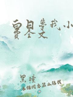 白日梦我小说免费全文