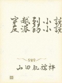 穿越到小说里当反派的小说