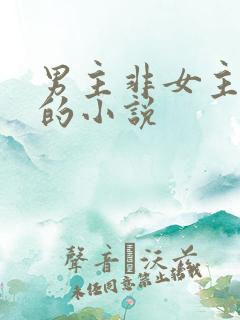 男主非女主不可的小说