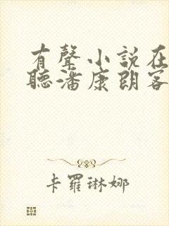 有声小说在线收听潘康朗客