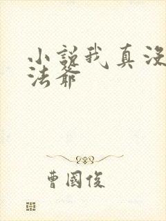 小说我真没针对法爷