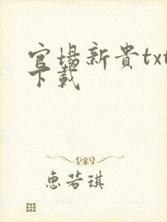 官场新贵txt下载