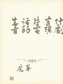 生活片有什么好看的电视剧