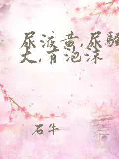 尿液黄,尿骚味大,有泡沫