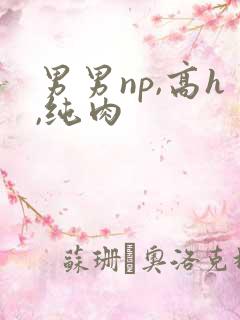 男男np,高h,纯肉