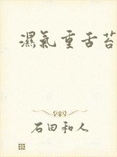 湿气重舌苔黄腻